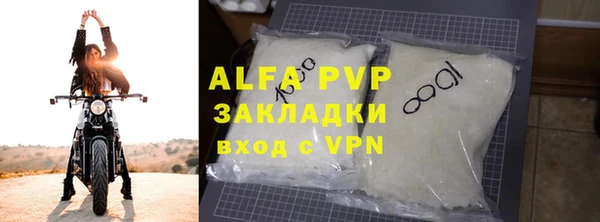 индика Каменногорск