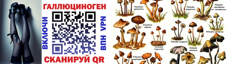 Псилоцибиновые грибы Psilocybine cubensis  наркошоп  Беломорск 